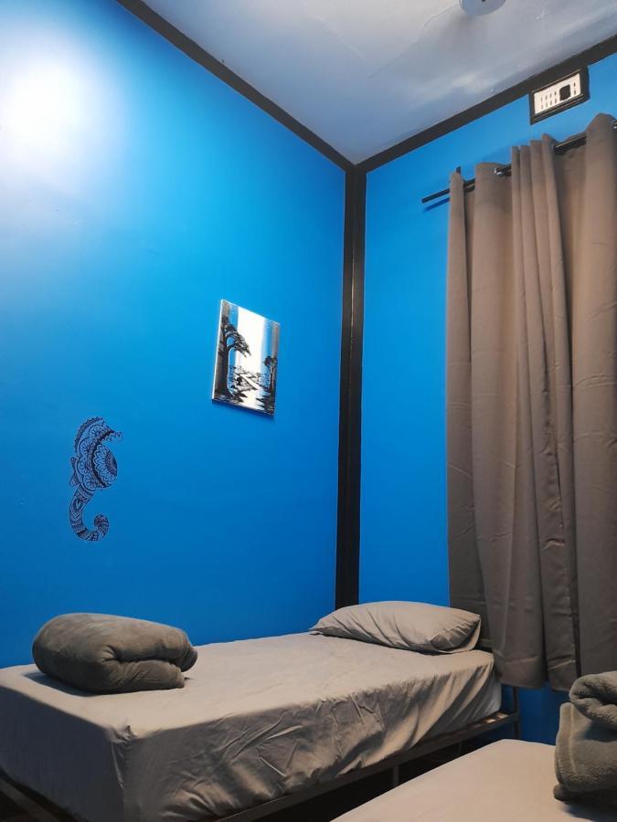 Ozi Backpackers - -valid Passport Required *