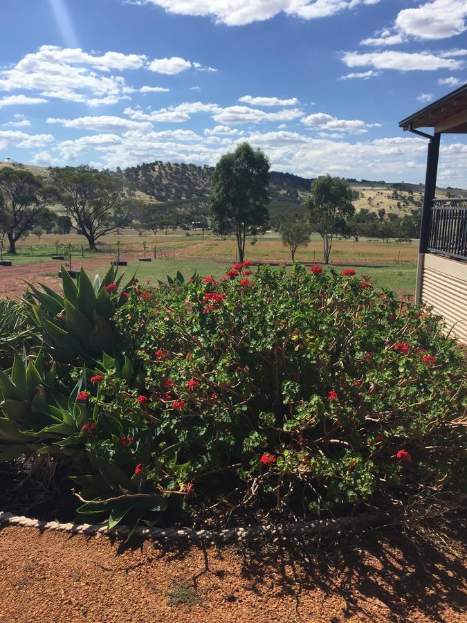 Mountain Park Retreat Holiday home