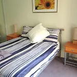 Arcus City Apartment
