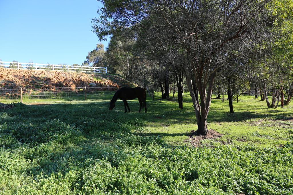 Farm stay Brigadoon Retreat Perth