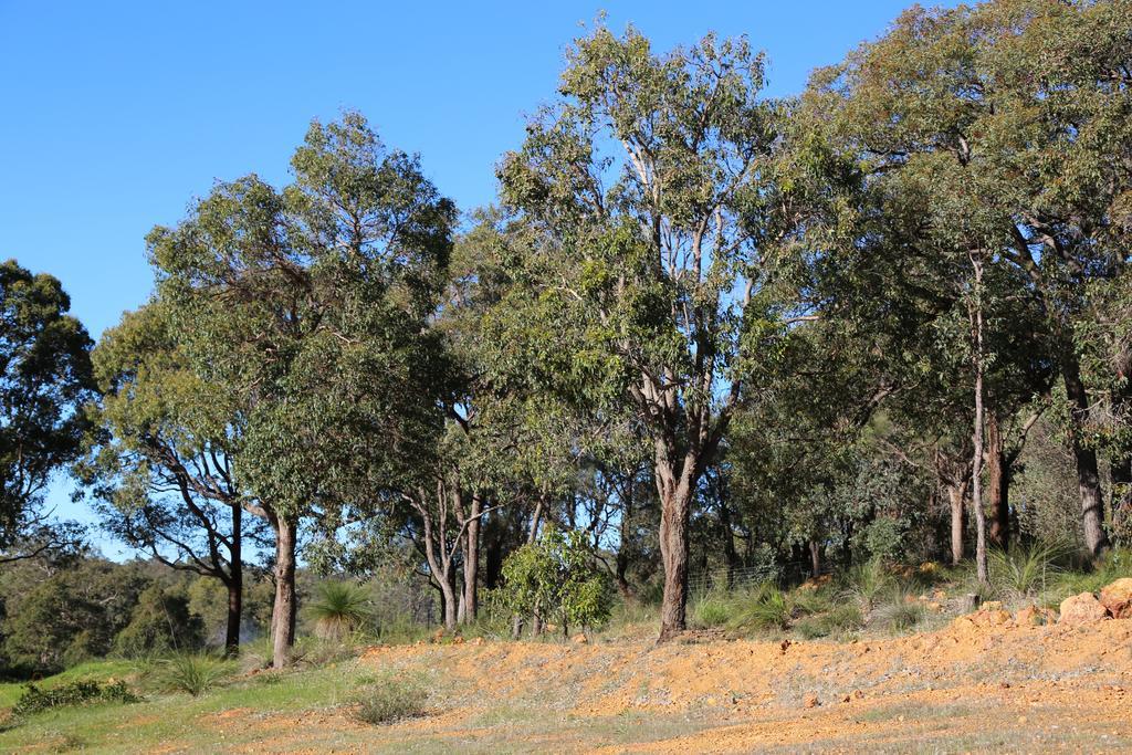 Farm stay Brigadoon Retreat Perth