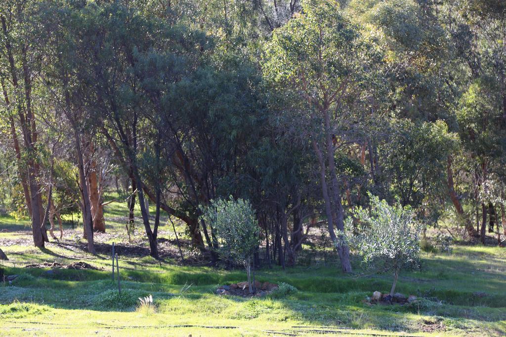 Brigadoon Retreat Perth
