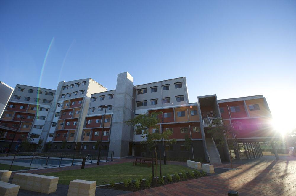 Ecu - Mt Lawley * Perth