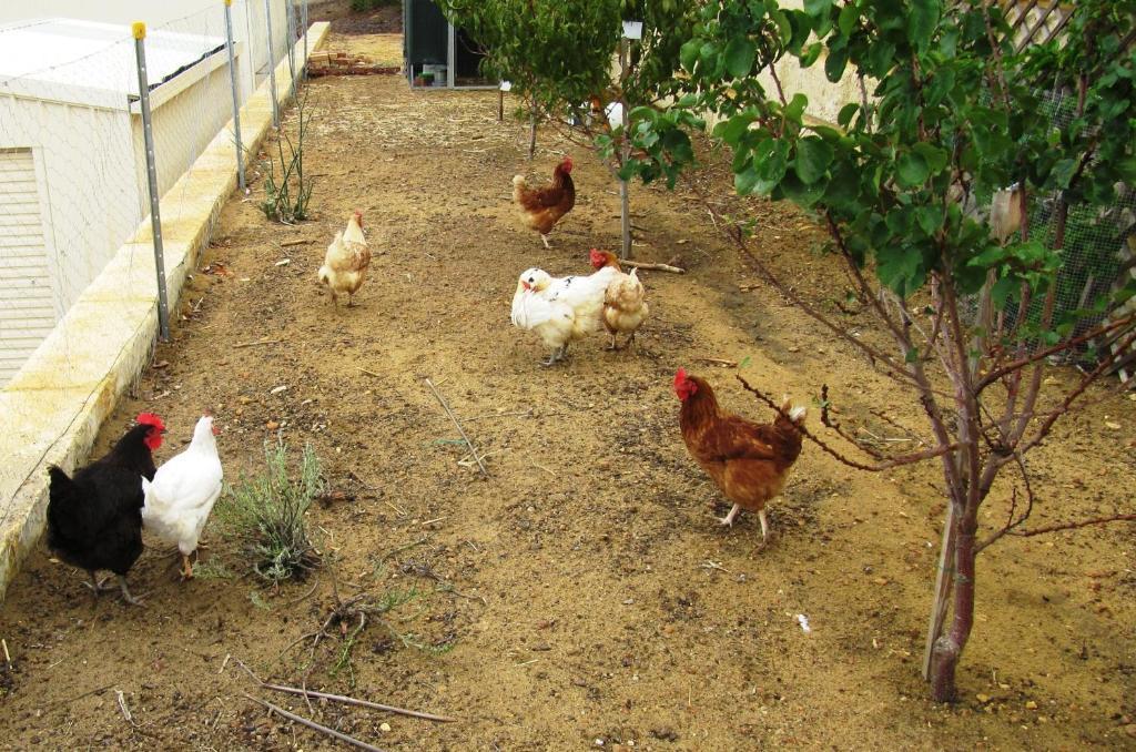 Brigadoon Retreat Farm stay Perth