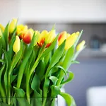 Claremont Quarter Luxury Apartment