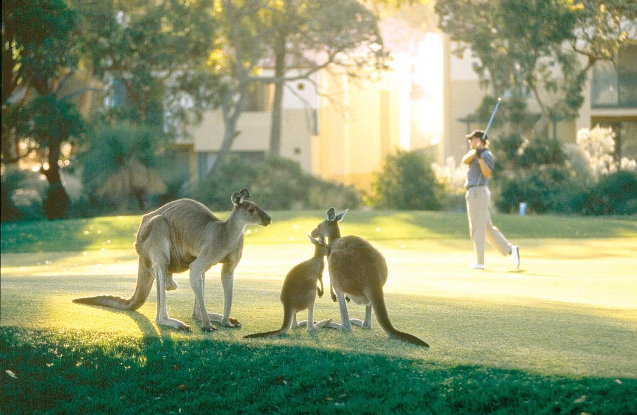Joondalup