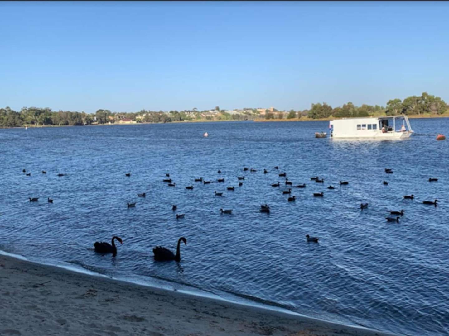 Your Oasis In The Heart Of East Perth