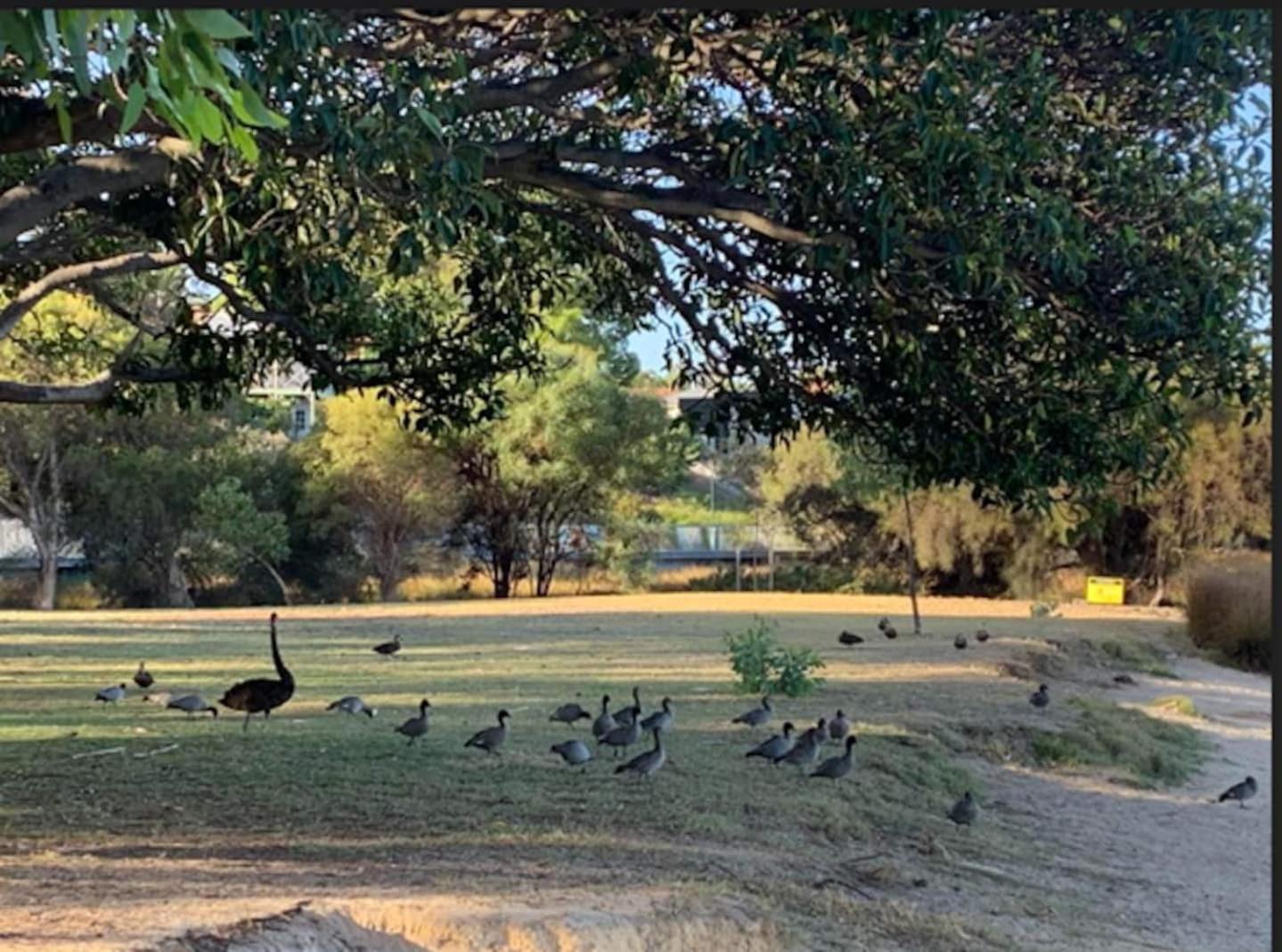Your Oasis In The Heart Of East Perth